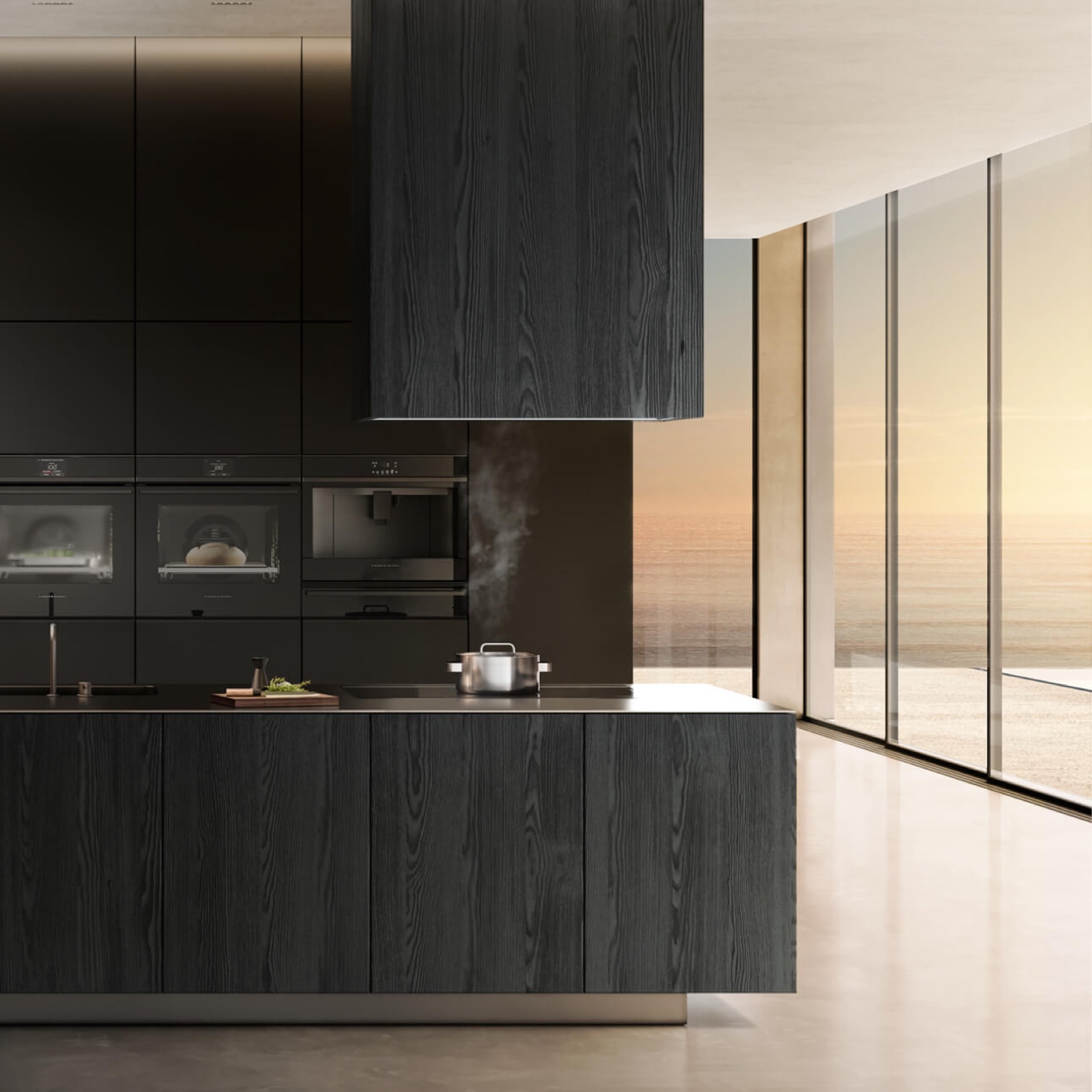 project link image for Fisher and Paykel
